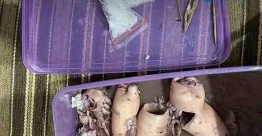 FB_IMG_1774246630080