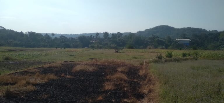 IMG-20260725-WA0078